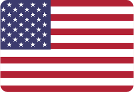 USA flag icon